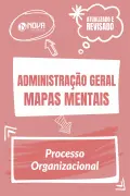 Produto Mapas Mentais Administração Geral - Processo Organizacional (PDF) - Nova Concursos