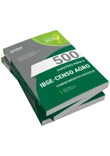 Livro 500 Questões Gabaritadas para IBGE Temporário - Conhecimentos Básicos