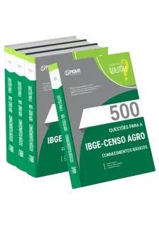 Livro 500 Questões Gabaritadas para IBGE Temporário - Conhecimentos Básicos