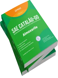 Apostila SAE Catalão-GO - Almoxarife