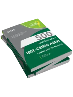 Livro 500 Questões Gabaritadas para IBGE Temporário - Conhecimentos Básicos