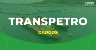 Concurso Transpetro 2026: confira os cargos de níveis médio e superior!