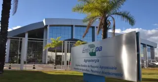 Concurso Embrapa: Divulgado o resultado preliminar da prova prática!