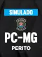 Simulado - PC-MG - Perito