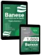 Combo BANESE Técnico Bancário I
