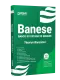 Apostila BANESE - Técnico Bancário I