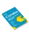 Apostila CORREIOS - Analista de Correios - Advogado