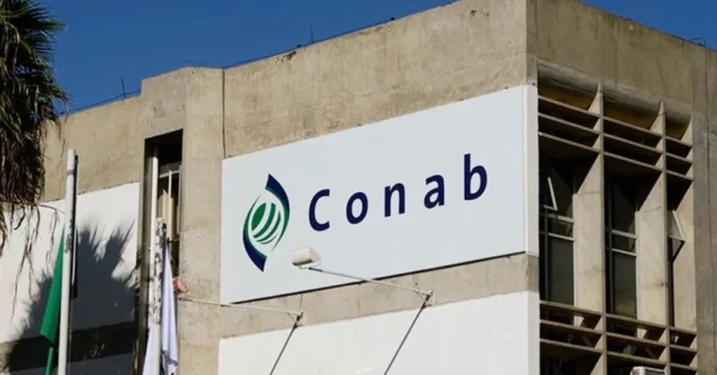 O que cai na prova Conab?