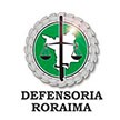 defensoria publica roraima loguinho
