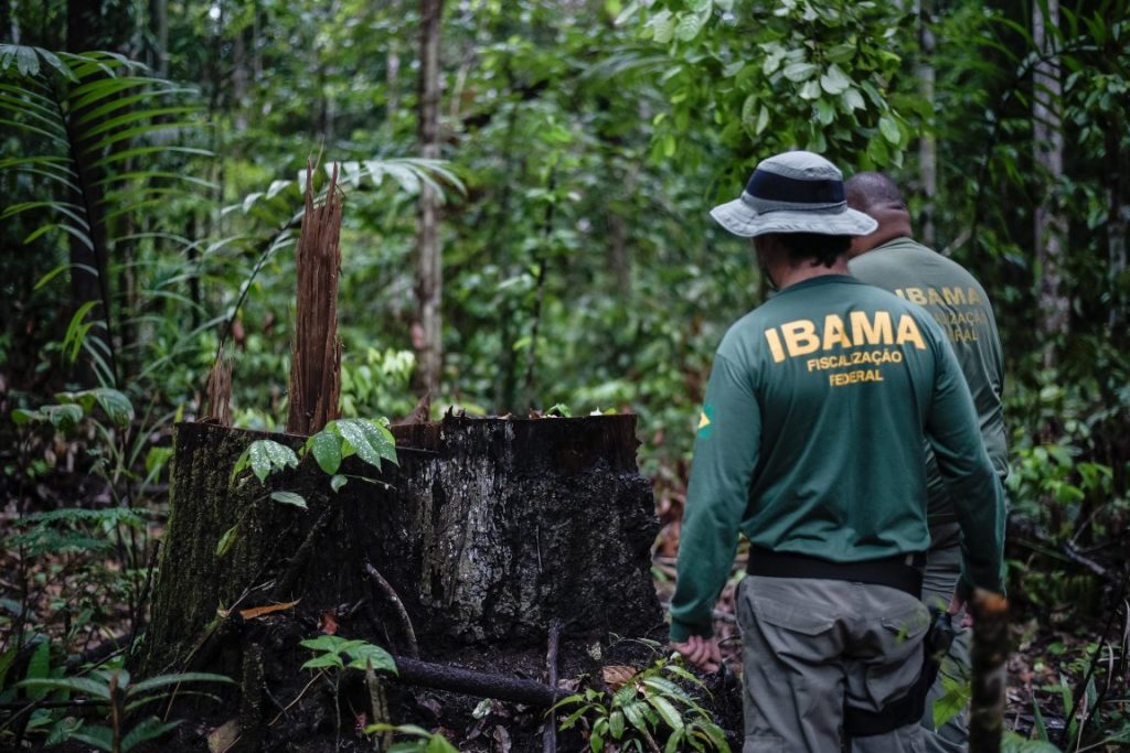 Concurso IBAMA: MPF solicita aval para 2.054 vagas em 30 dias! 2 Nova-Ibama