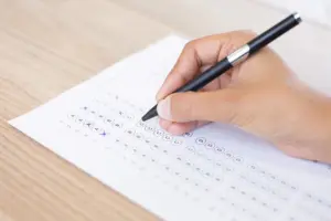 Auxiliar de Controle Externo