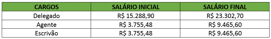 Concurso PC RN: Mais de 400 vagas estão previstas por delegada-geral! 2 Salários PC RN