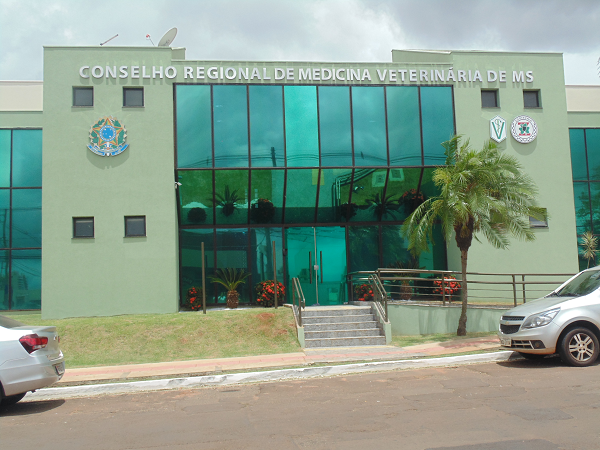 Concurso CRMV MS: Edital irá ofertar 80 vagas para níveis médio e superior!