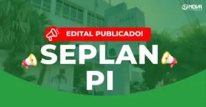 concurso seplan pi
