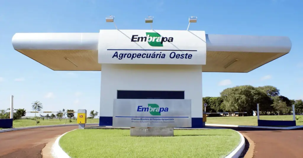 Como começar a estudar para o concurso Embrapa?