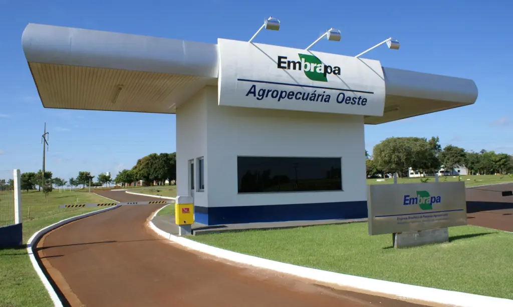 Concurso Embrapa: Tudo sobre os cargos que serão ofertados!