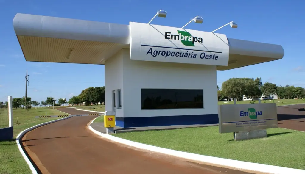 Concurso Embrapa: edital com 1.027 vagas sai até dia 29!