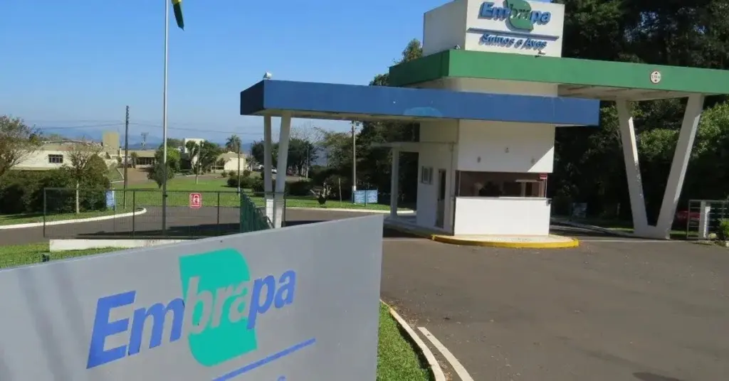 Embrapa tem edital publicado com 1.027 vagas para todos os níveis!