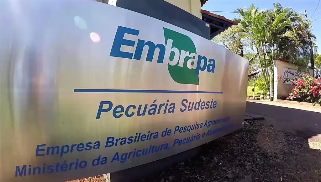 Tudo sobre as vagas generalistas do concurso Embrapa 2025!