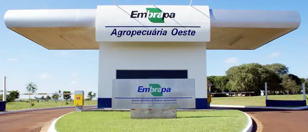 Passo a passo inscrições Embrapa 2024: Iniciais de até R$12 mil!