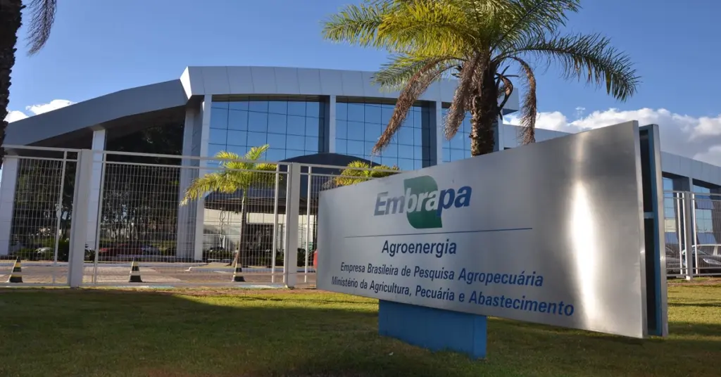Concurso Embrapa: banca alerta sobre erros no pagamento da taxa!