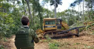 Funcionários do Ibama com uniforme de costas trabalhando em uma floresta / Concurso Ibama