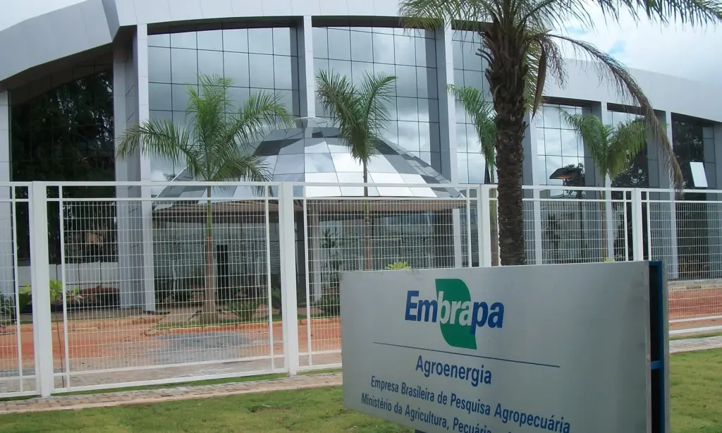 Concurso Embrapa: Saiba como será a prova prática! 1 Embrapa