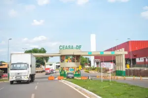 Fotografia da entrada da Cease DF