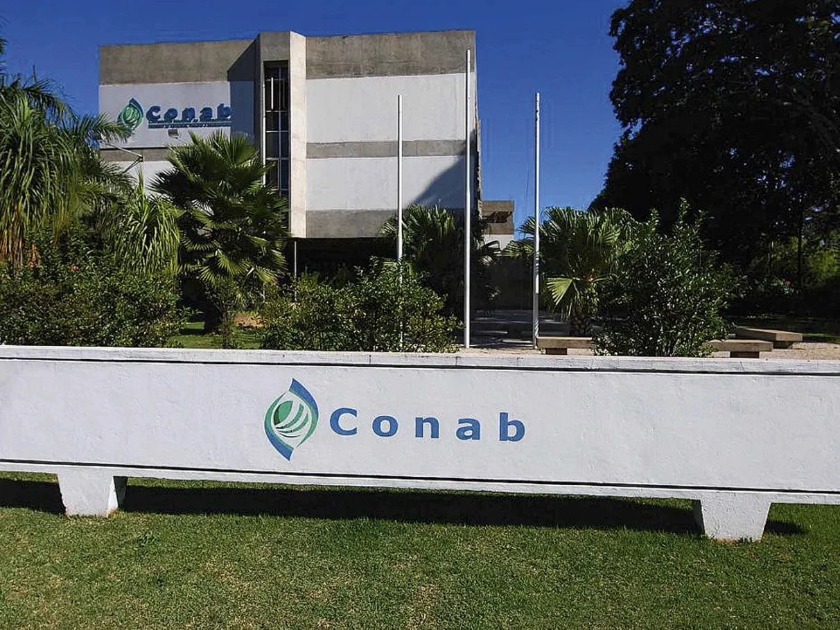 Concurso Conab: Confira o cronograma após as provas!