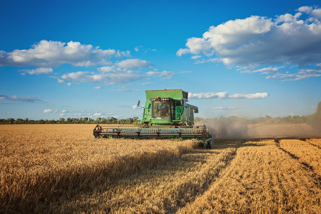colheita agropecuária cargos edital idaf es publicado