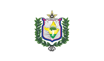 SESA-AP