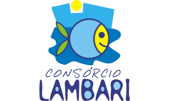 CONSÓRCIO